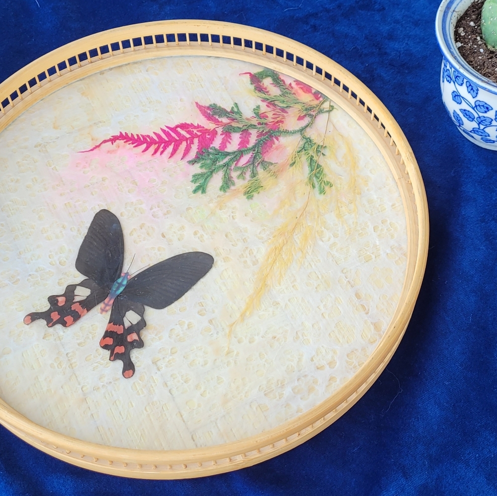 ♡Retro Butterfly Tray♡